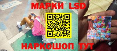 индика Моздок