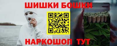 индика Моздок