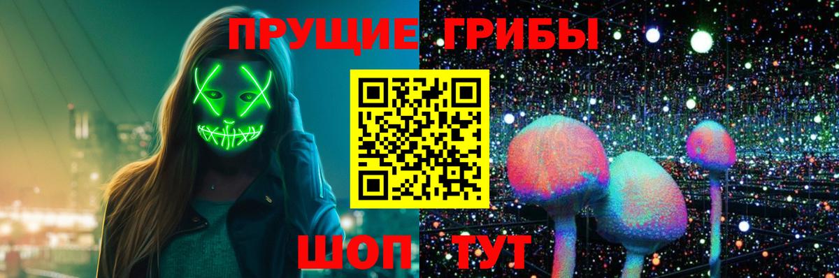 Чебаркуль  Галлюциногенные грибы мицелий  где купить наркоту  Вход с VPN 